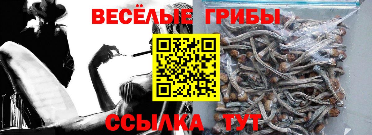 Галлюциногенные грибы мухоморы Ростов-на-Дону